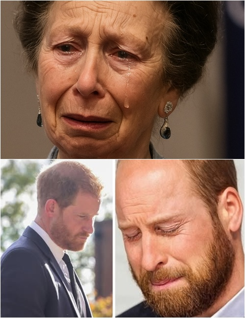 BREAKING — 4 Minutes Ago: Princess Anne, trembling and pale, urgently summoned Prince Harry back to the kingdom after revealing that Prince William’s health has reached a “critical red alert.” Reporters swarmed the palace as a 3-year secret finally cracked open. Moments later, Prince William wiped away tears and confessed: “I am deeply sorry for hiding this…”