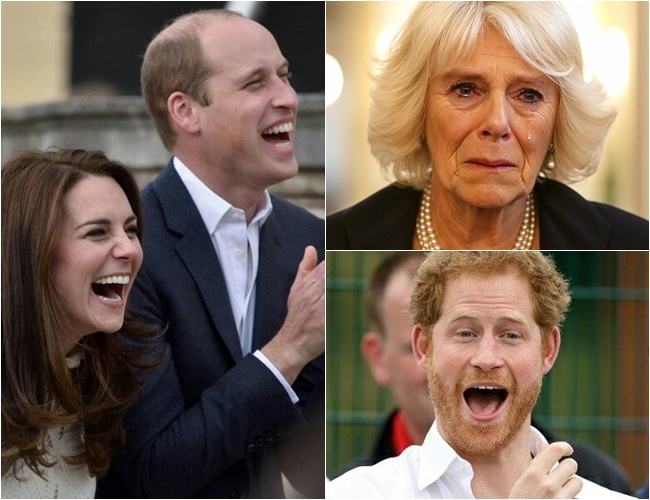 “Time to Bring Camilla Down” – Harry and William Shock the World by Joining Forces to Expose the One Behind Princess Diana’s Tragedy: “We Found Her Letter — It Confirms the Mastermind Was…”