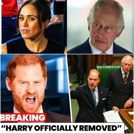 “Strike back… now.” Meghan Markle commanded Harry after he was erased from the official chronicles of the UK dynasty. Court insiders whisper that Meghan and Harry’s revenge will unleash a “catastrophe no one sees coming.” Meanwhile, Prince Harry has made a move that could erase the House of Sussex forever: “I will reveal the secret DNA record… the one they thought I’d never find.”