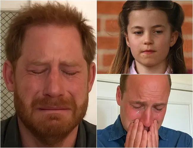 5 MINUTES AGO! Harry broke down in tears in front of the screen, sending his deepest condolences to Buckingham Palace. William could only cover his face and cry over the immense pain that had just struck, as darkness spread everywhere: ‘Stay strong William, Kate….’”