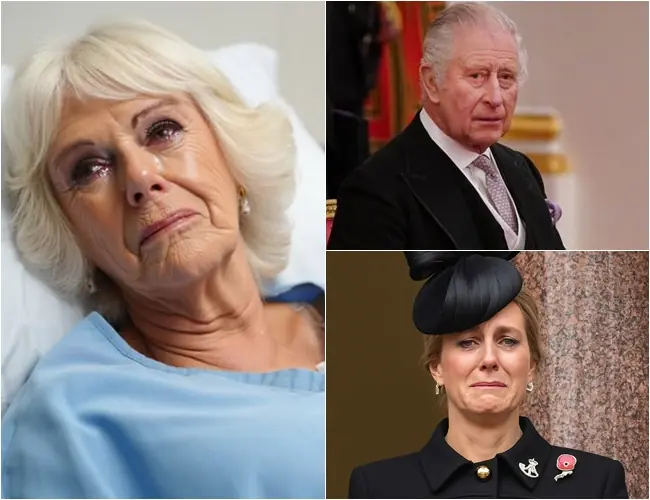 “Please forgive Camilla, she has…” — Duchess Sophie breaks down in tears as she announces a TRAGEDY has struck Camilla. All of Britain is left in regret: “I’m truly sorry to say that…”