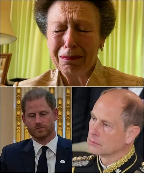 Midnight Emergency Call: Princess Anne Urgently Summons Harry Back, Palace Sealed Off From the Press as Dark Clouds Loom Over Buckingham: ‘It is with deepest sorrow that we announce…’”