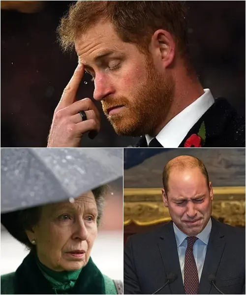 Exactly at Midnight, Princess Anne and Prince William ‘Bowed Their Heads’ Announcing GRAVE NEWS, Sorrow Engulfs the Palace: ‘Dark Clouds Have Fallen Over Our Monarchy…’”