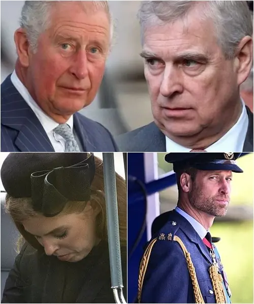 “All titles… revoked.” King Charles’s bold decree stripped Andrew’s family of every honor. Princess Beatrice, caught in the crossfire of her father’s disgrace, stood stunned