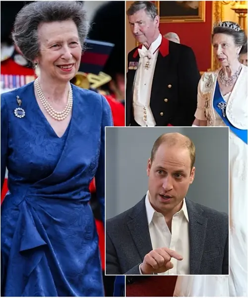 10 MINUTES AGO! Congratulations to Princess Anne!” — Not William, not Kate, but the Queen’s secret will named Anne for the highest position. Gasps filled the room, yet it was William’s unexpected reaction that sparked fierce debate. What he did next is leaving Britain completely divided… Ask ChatGPT