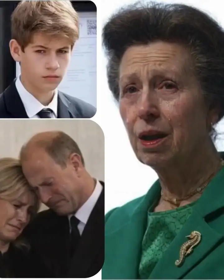 SHOCKING NEWS — 1 MINUTE AGO! Sophie burst into the Palace in tears, delivering heartbreaking news. “Stay strong, Sophie…” Princess Anne said through sobs. As the monarchy’s final authority figure, Anne announced that sudden grief had struck. The news concerns Sophie’s only son…