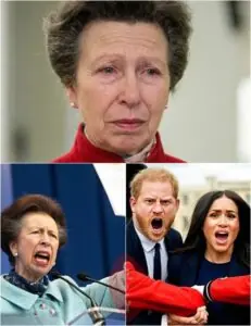 3 MINUTES AGO! Princess Anne — the last pillar of the monarchy — exposes Harry and Meghan’s ‘manipulation’ over the past 5 years. King Charles left stunned as the media erupts. Anne, choked with emotion, delivers devastating news: ‘I’m sorry… Harry and Meghan have…’”