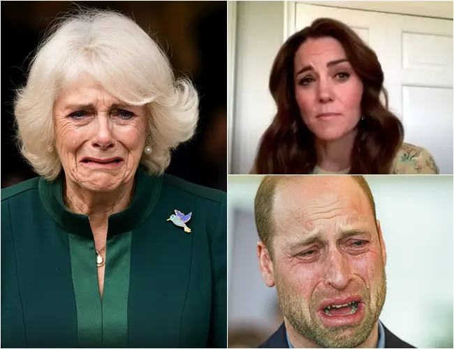 MIDNIGHT EMERGENCY CALL! For the first time ever, Prince William and Princess Kate were seen in tears for Queen Camilla after the Palace confirmed heartbreaking news. King Charles called a secret midnight meeting and reportedly transferred his entire estate to Camilla’s son. Standing before the grand hall, William’s voice broke as he whispered: “Oh, my stepmother Camilla…”