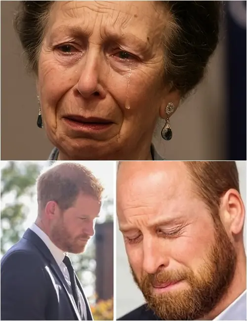 BREAKING — 4 Minutes Ago: Princess Anne, trembling and pale, urgently summoned Prince Harry back to the kingdom after revealing that Prince William’s health has reached a “critical red alert.” Reporters swarmed the palace as a 3-year secret finally cracked open. Moments later, Prince William wiped away tears and confessed: “I am deeply sorry for hiding this…”