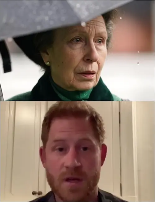 TRAGEDY — 1 HOUR AGO! Princess Anne, soaked and trembling, rushes into the Palace with URGENT news from the U.S. Prince Harry has been confirmed