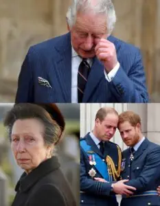 ROYAL TRAGEDY! Princess Anne Breaks Down in Tears, Collapsing in the Grand Hall. The Palace Announces Heartbreaking News About Harry from the U.S.: ‘Oh… my nephew