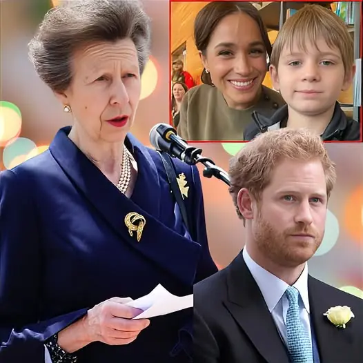 After 2 Years of Gathering Evidence, Princess Anne Releases Paternity Test Results of Harry and Archie: “The Long-Standing Rumor Is True, and the Results Are…”